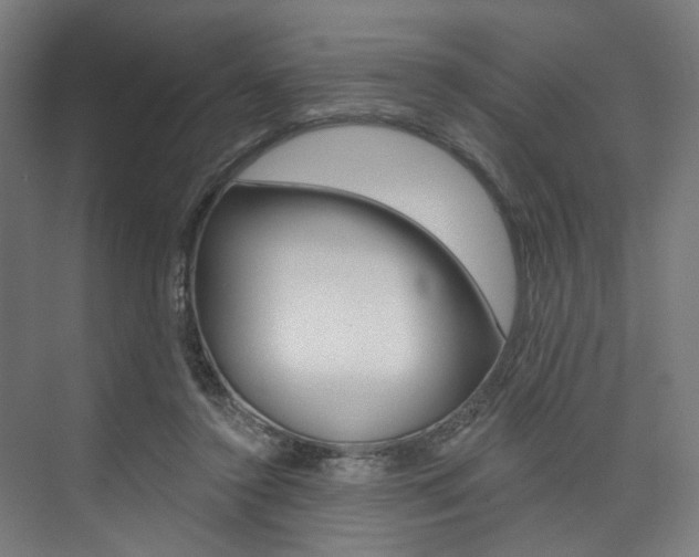 X0000074040356200608211208