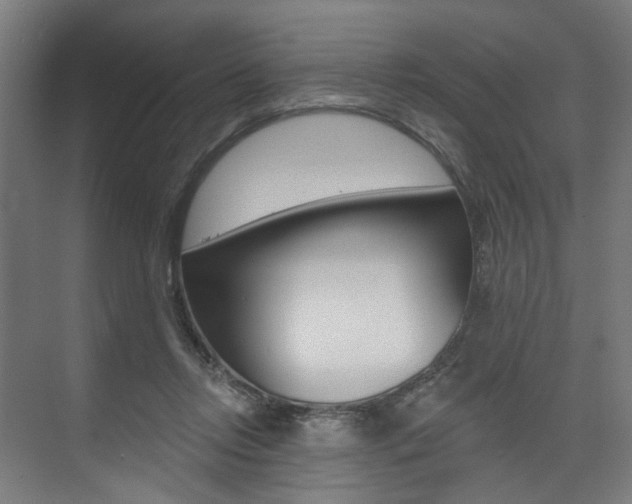X0000074040358200608211208