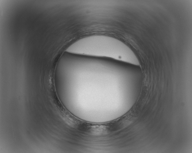 X0000074040363200608211208