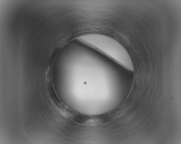 X0000074040364200608211208