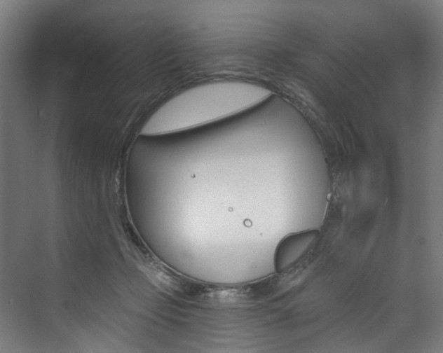 X0000074040365200608211208