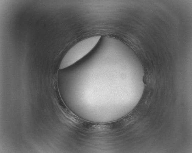 X0000074040367200608211208