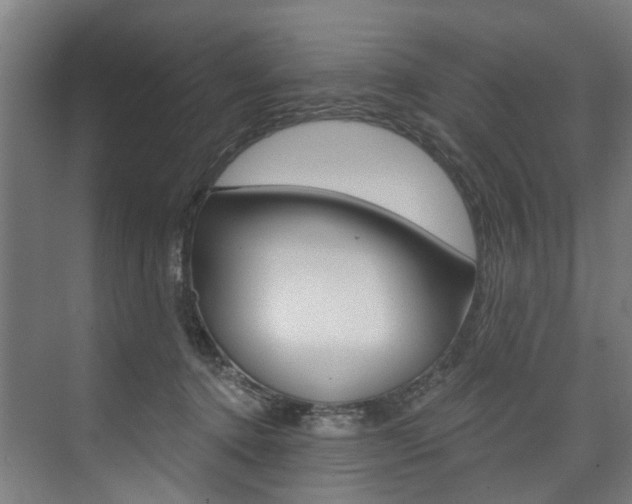X0000074040368200608211208