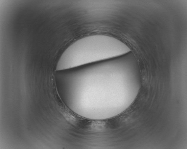 X0000074040369200608211208