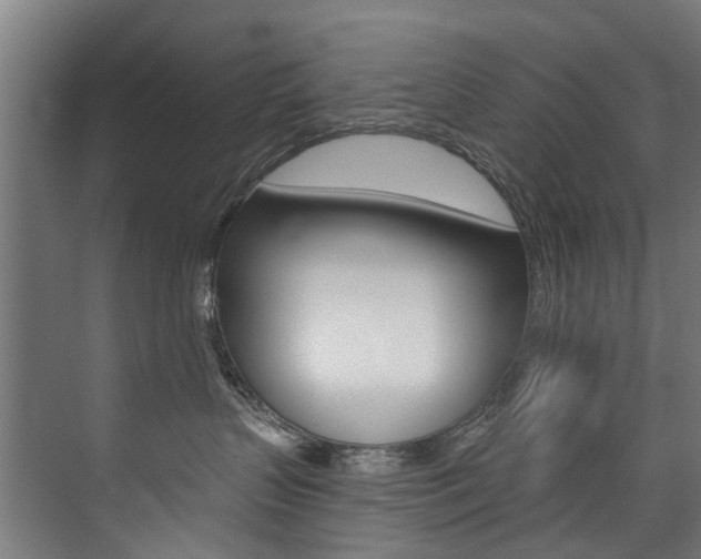 X0000074040383200608211208