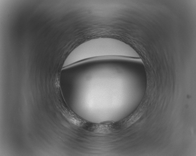 X0000074040384200608211208
