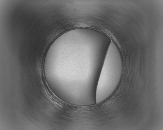 X0000074040386200608211208