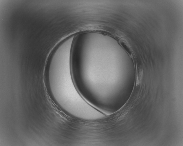 X0000074040387200608211208