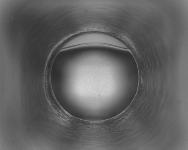 X0000074040388200608211208