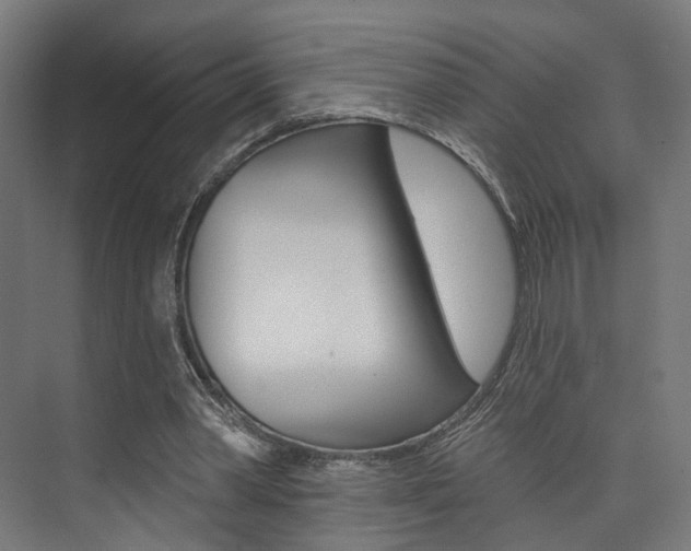 X0000074040390200608211208