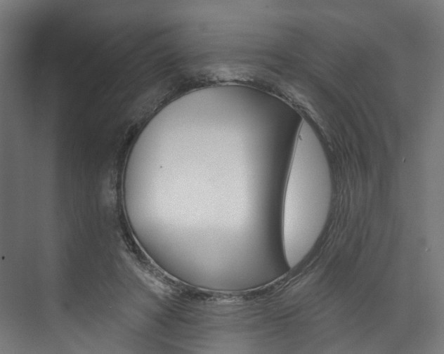 X0000074040402200608211207