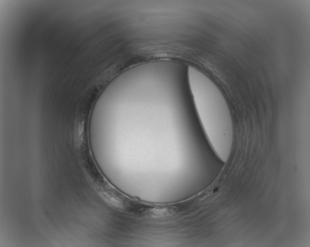 X0000074040406200608211207