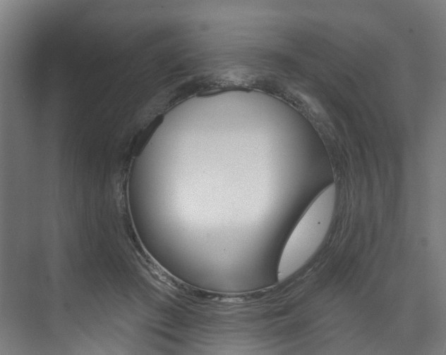 X0000074040409200608211207