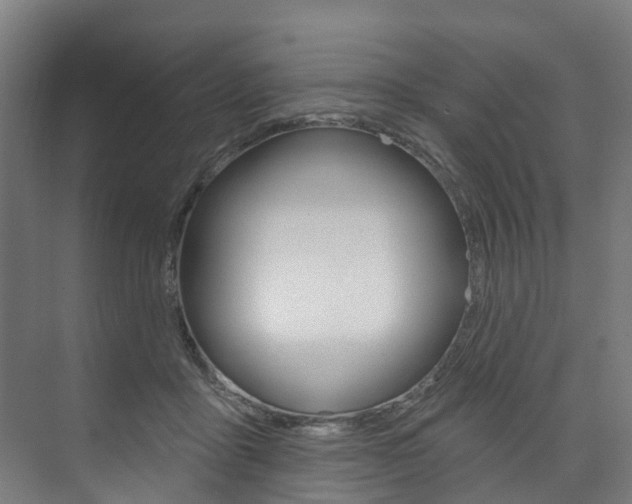 X0000074040411200608211207