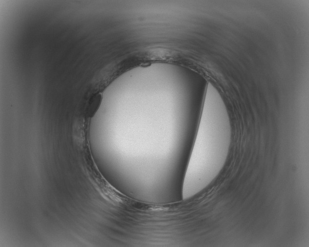 X0000074040413200608211207
