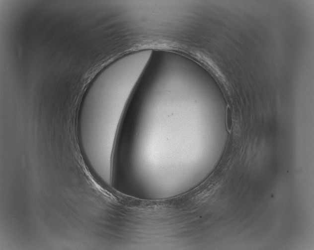 X0000074040433200608211206