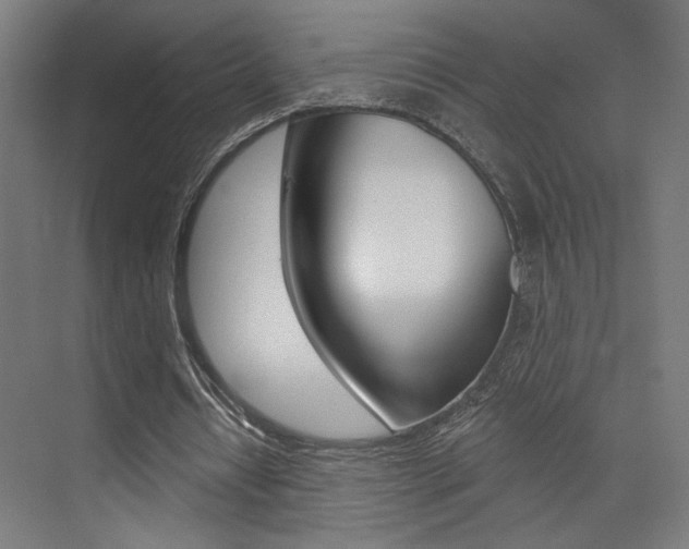 X0000074040434200608211206