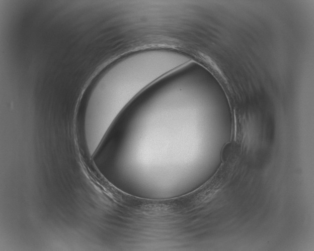 X0000074040435200608211206