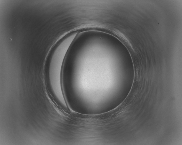 X0000074040436200608211206