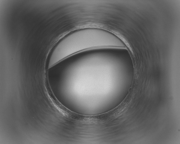 X0000074040437200608211206