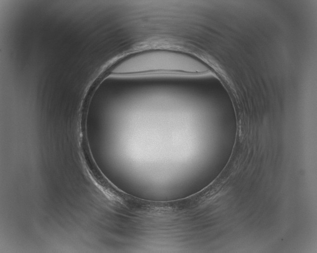 X0000074040438200608211206