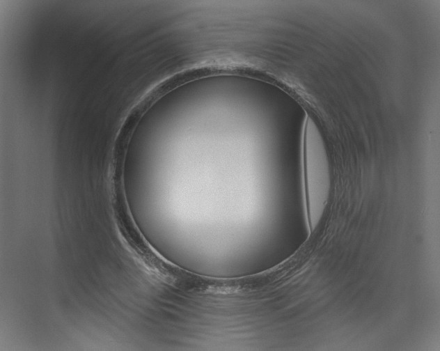 X0000074040440200608211206