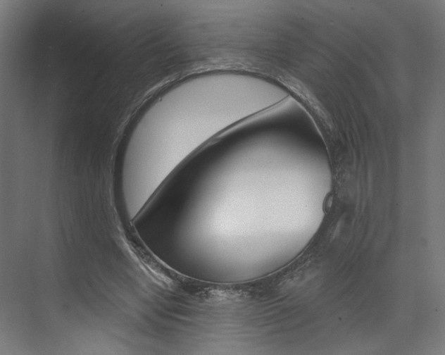 X0000074040442200608211206