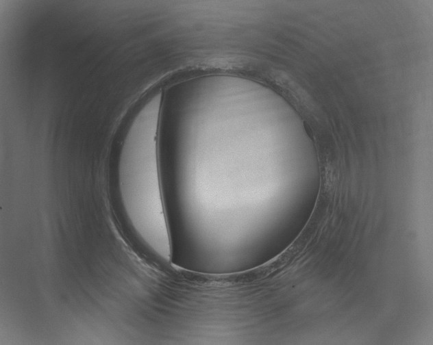 X0000074040444200608211206