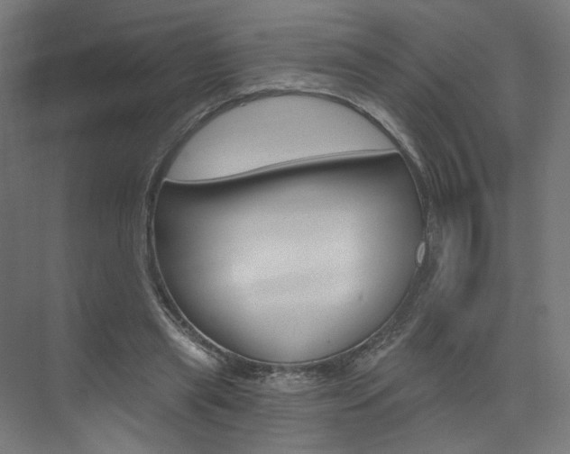 X0000074040445200608211206