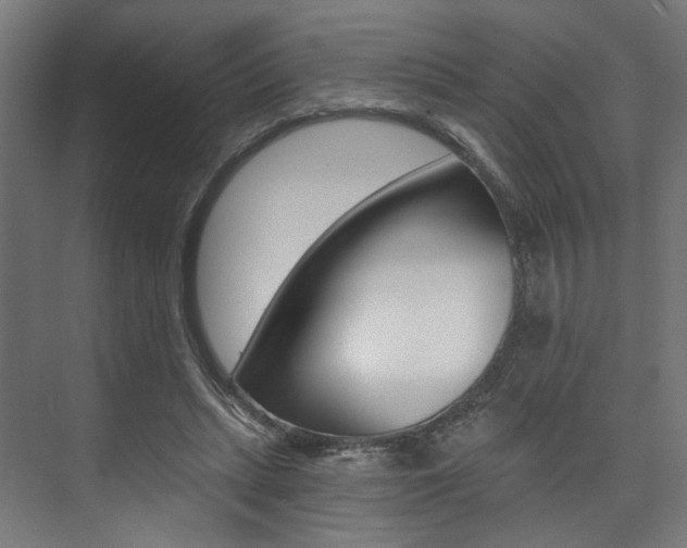 X0000074040447200608211206