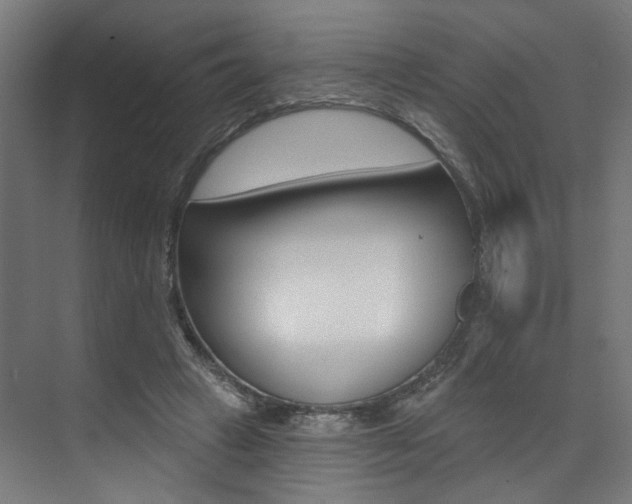X0000074040449200608211206