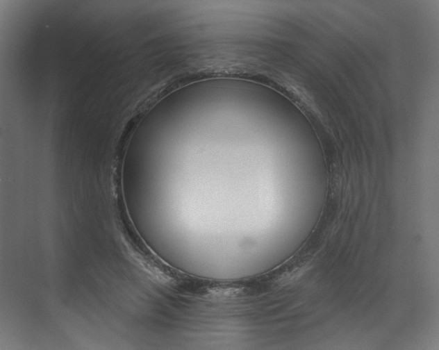 X0000074040450200608211206