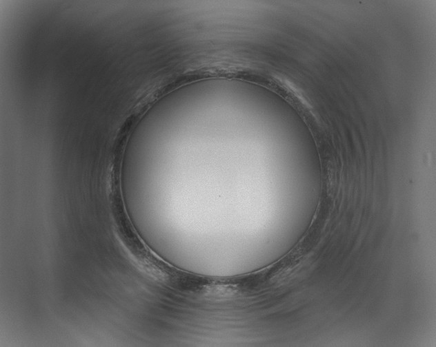 X0000074040451200608211206