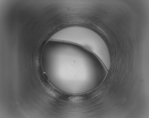 X0000074040452200608211206