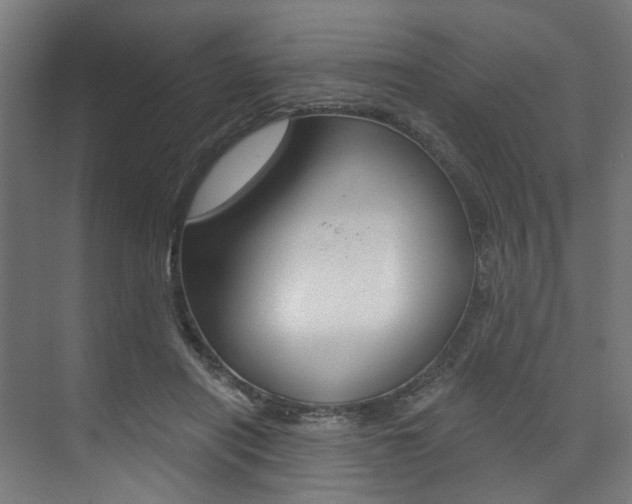 X0000074040454200608211206
