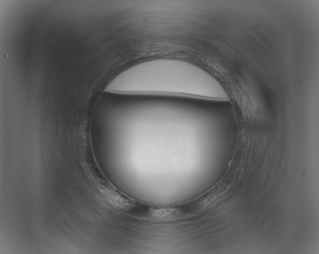 X0000074040461200608211206