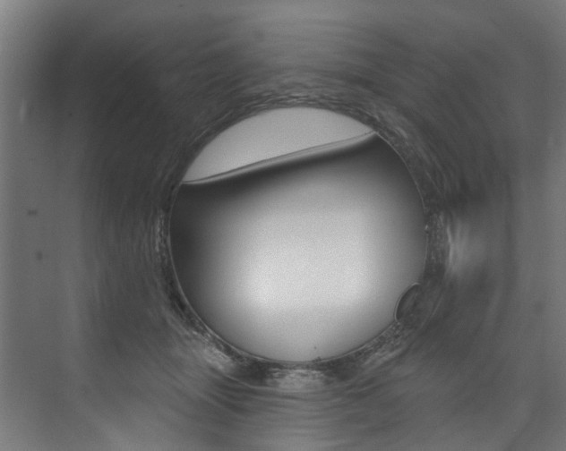 X0000074040463200608211207