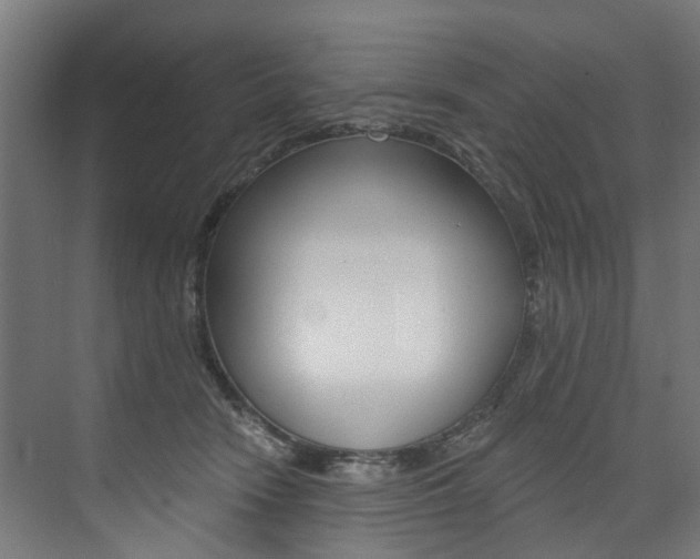 X0000074040466200608211207