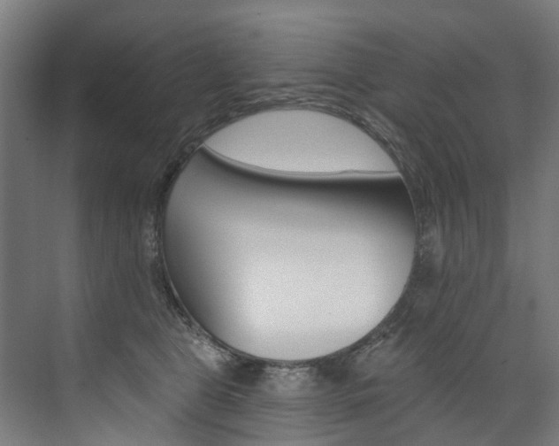 X0000074040469200608211207