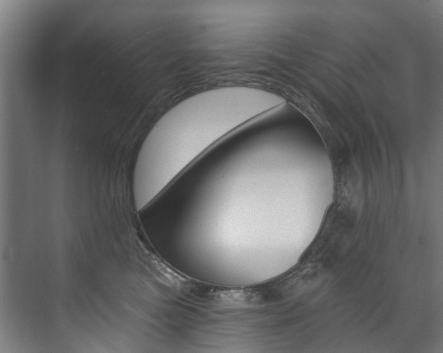 X0000074040473200608211207