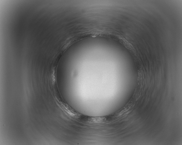 X0000074040479200608211207