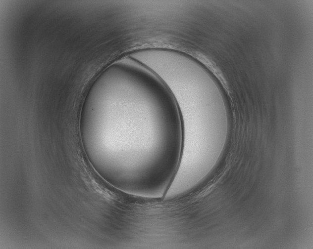 X0000074040481200608211206