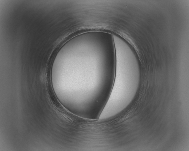X0000074040483200608211206