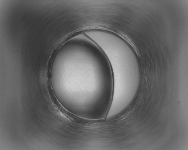 X0000074040485200608211206