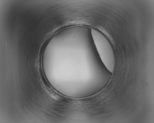 X0000074040486200608211206
