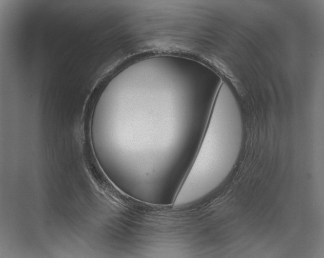 X0000074040488200608211206