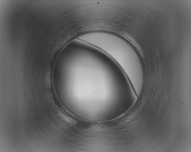 X0000074040489200608211206