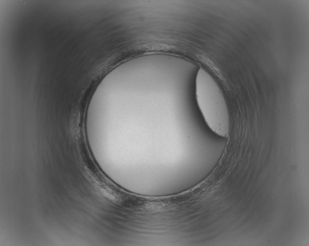 X0000074040490200608211206