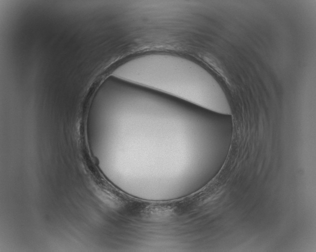 X0000074040491200608211206