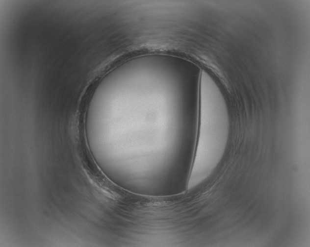X0000074040492200608211206